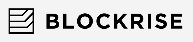 Blockrise Logo